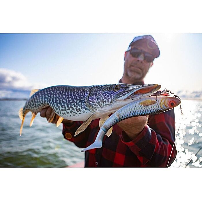 Abu Garcia Svartzonker McPike 25cm 106gr Real Perch 2st