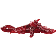 Berkley Power Maxi-Bloodworm