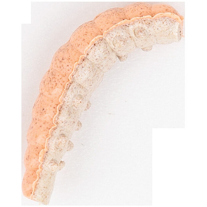 Berkley Powerbait Power Honey Worm Orange Pearl