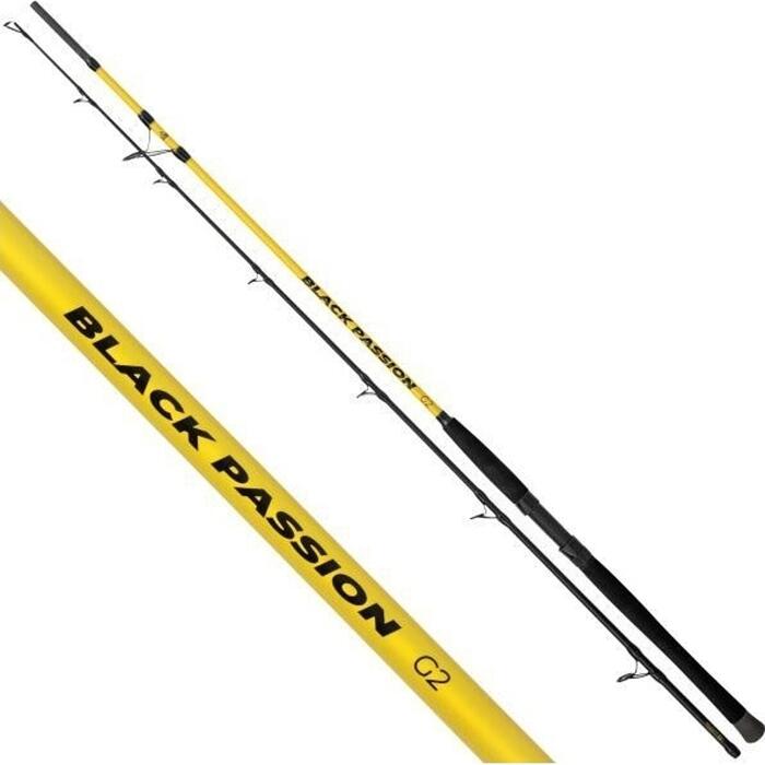 Black Cat Black Passion G2 Spin 2.40m 50-200gr