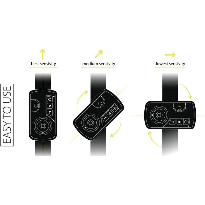 Black Cat Passion Pro Alarm black