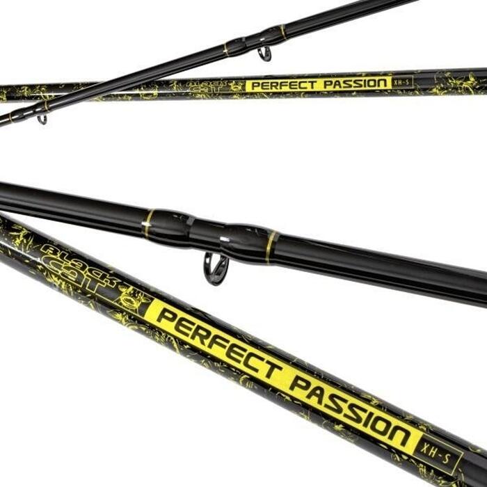 Black Cat Perfect Passion XH-S 3.0m 600gr
