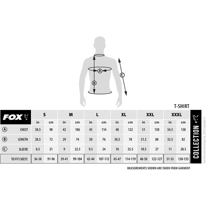 Fox Collection T - G/B S