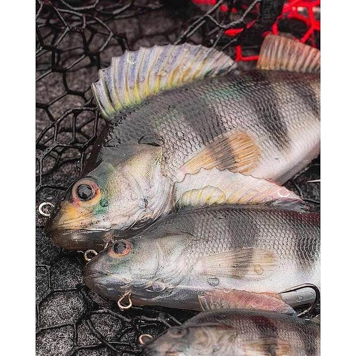 Fox Rage Ultra-Realistic Replicant 10cm 22gr Perch