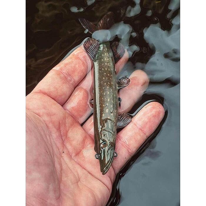 Fox Rage Ultra-Realistic Replicant 10cm 12gr Pike