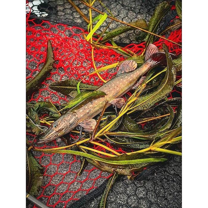 Fox Rage Ultra-Realistic Replicant 10cm 12gr Pike