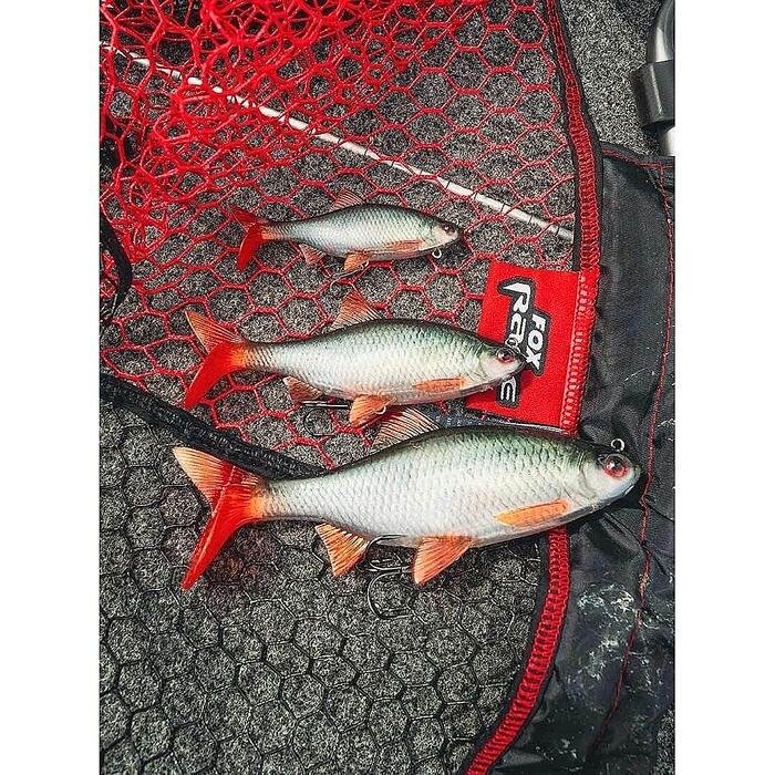 Fox Rage Ultra-Realistic Replicant 14cm 45gr Roach