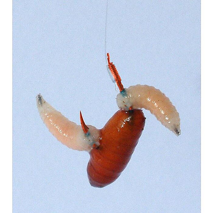 Gamakatsu BKS LS-2210R Brasem Feeder Onderlijn 100cm H10 0.16mm