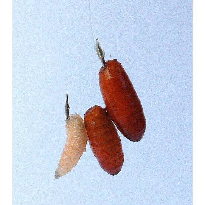 Gamakatsu LS-2030B #12