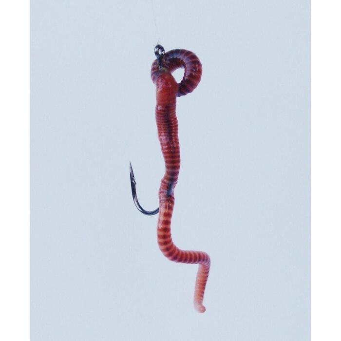 Gamakatsu Worm 34 #2/0