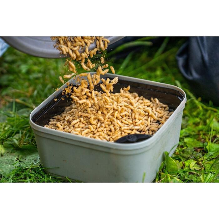 Guru Maggot Riddle Black