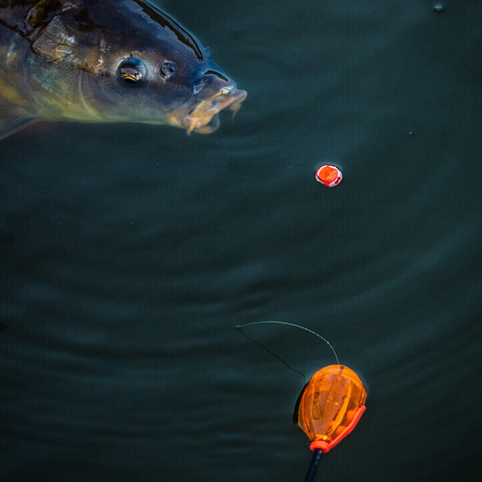 Korum Surface Bomb Fluoro Xl