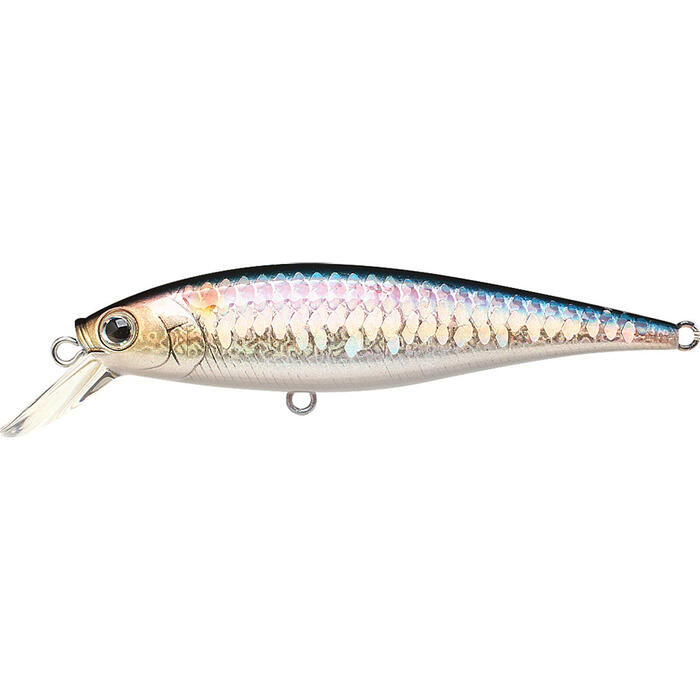 Lucky Craft Pointer 78 DD MS American Shad