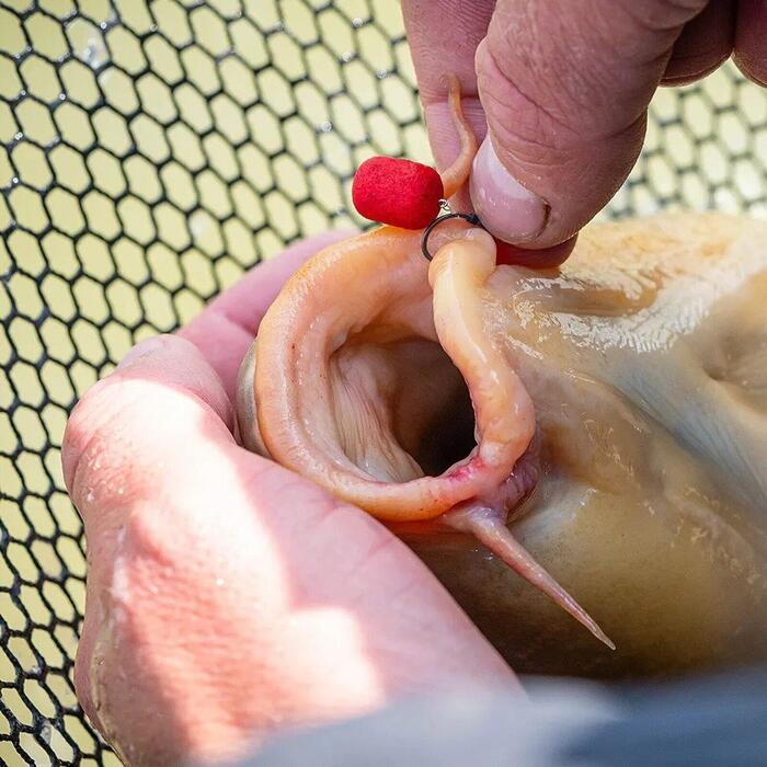 Mainline Match Dumbell Wafters 6mm Red Krill