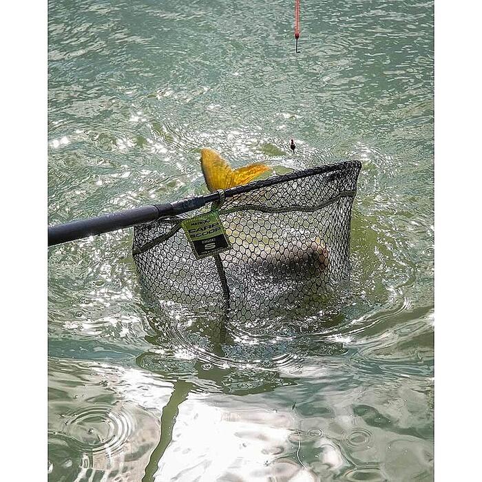 Matrix Carp Scoop Net M 50 x 40cm