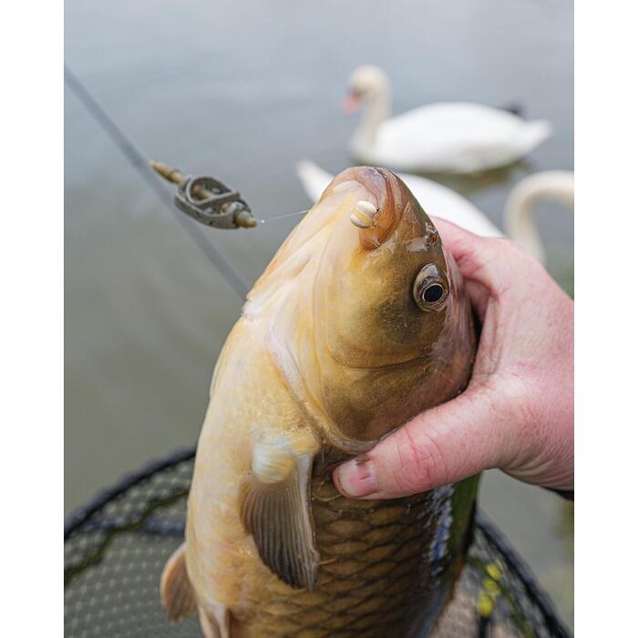 Matrix Method Feeder 20gr XS