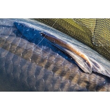 PB Products Ghost Dragonfly 400m 0.37mm 18lb