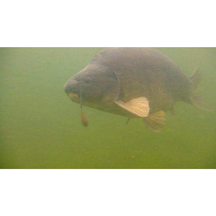 PB Products Heli-Chod Buffer Hood 8.5cm Weed 3pcs