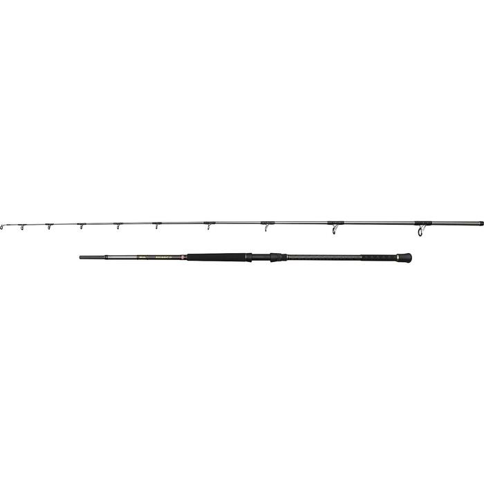 Penn Regiment IV Uptide 3.04m 70-300g