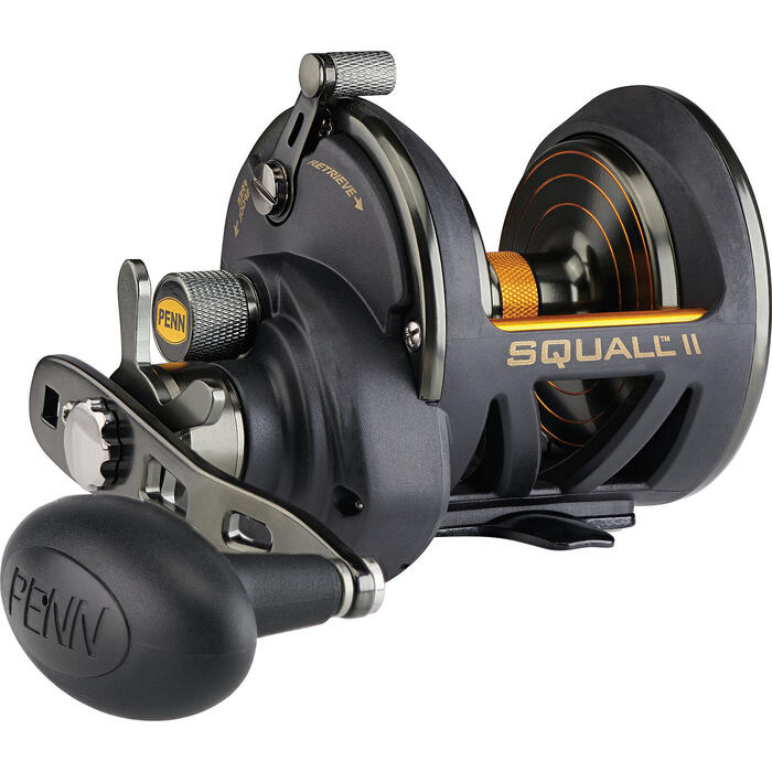 Penn Squall II Star Drag 25N SD