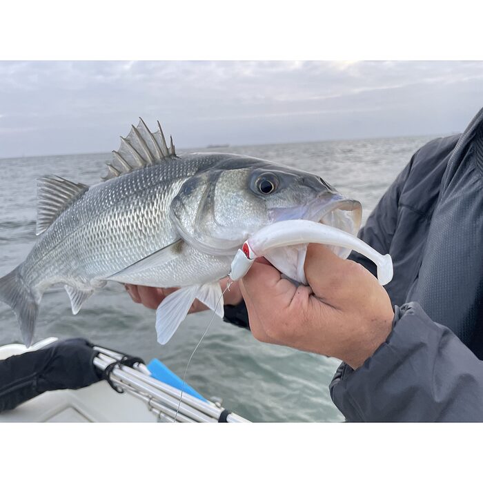 Pays Bass JJ Minnow 12cm 17gr Yellow White