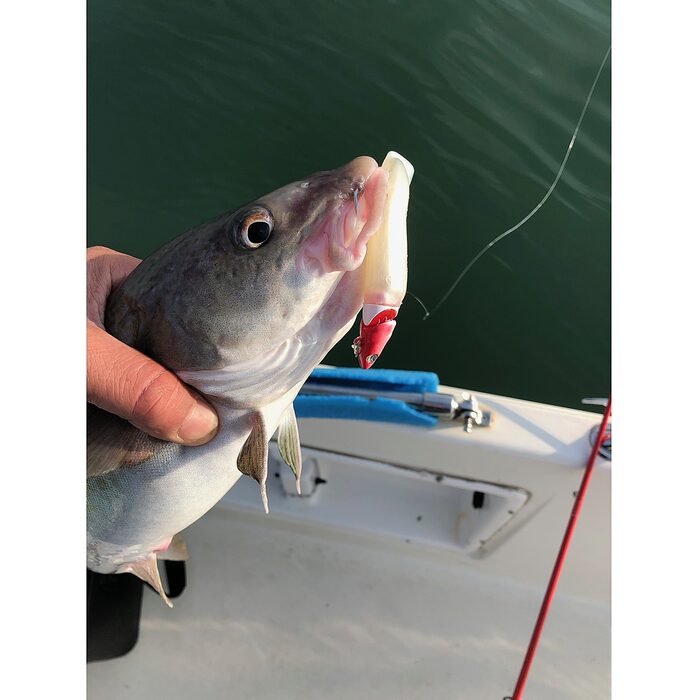 Pays Bass JJ Minnow 12cm 17gr Yellow White