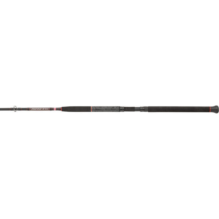 Penn Prevail III LE Boat 212 30-50lb