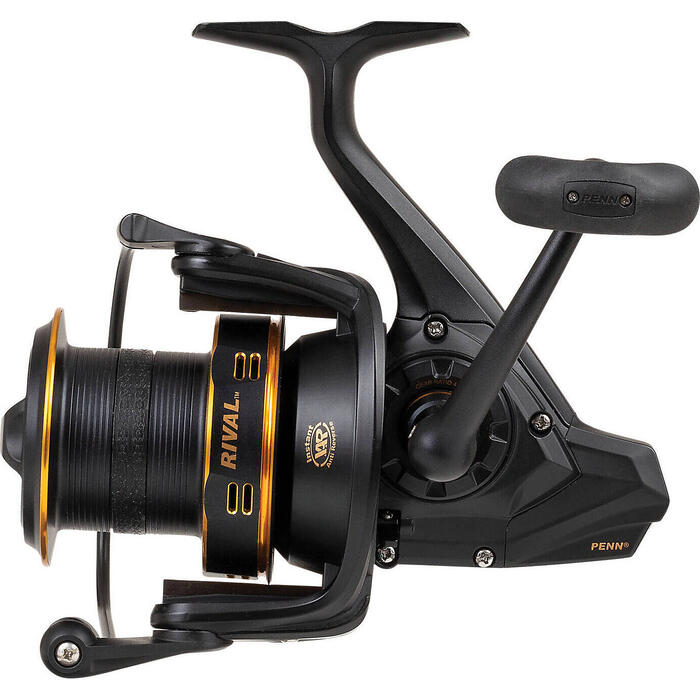 Penn Rival Longcast 6000 Gold