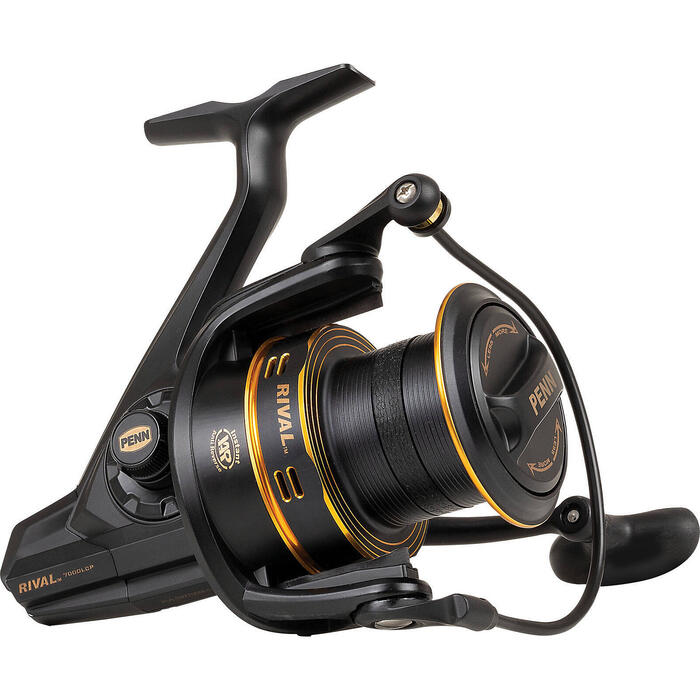Penn Rival Longcast 6000 Gold