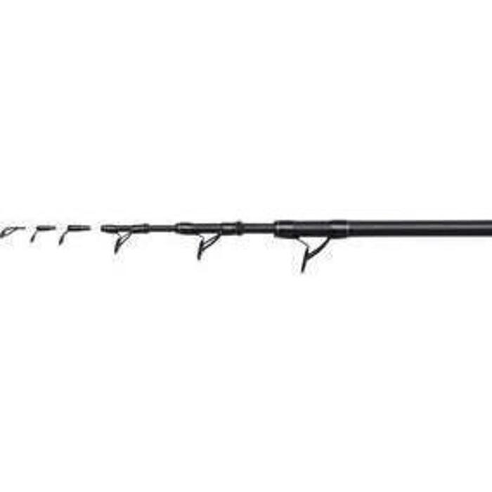 Penn Wrath II Bolescopic 10ft 3.0m 110gr