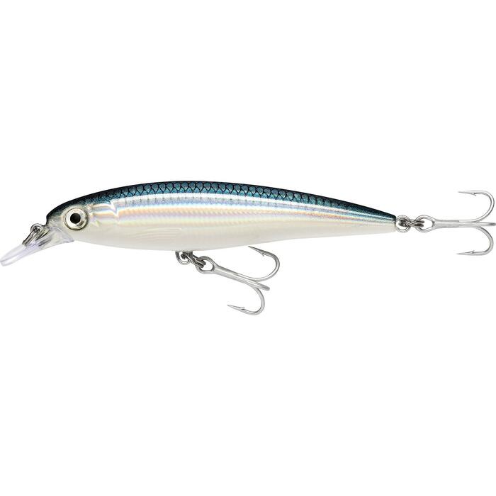 Rapala X-Rap Saltwater 12cm 22gr BFH