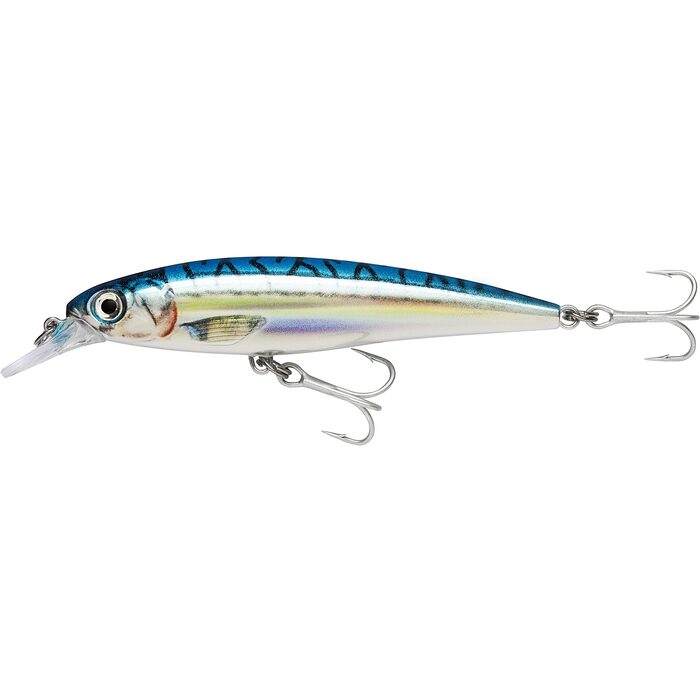 Rapala X-Rap Saltwater 12cm 22gr BM