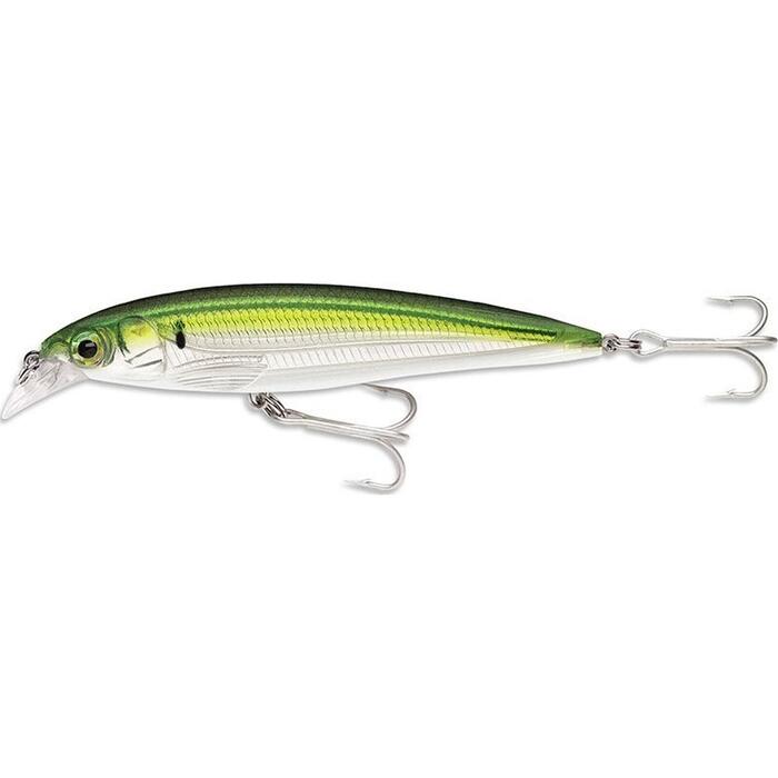 Rapala X-Rap Saltwater 12cm 22gr PLD