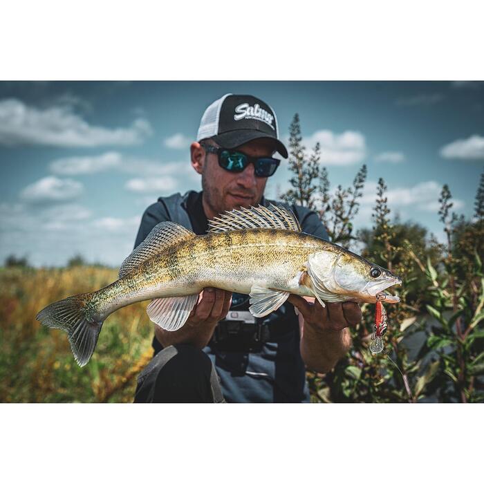 Salmo Rattlin Hornet 5,5cm Floating Hot Perch