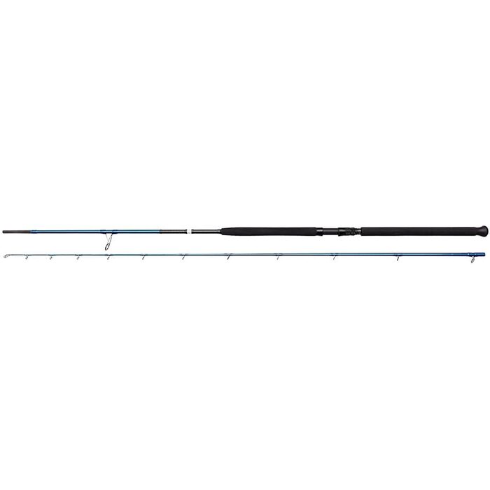 Savage Gear SGS2 Shore Jigging 2.90m 20-80gr