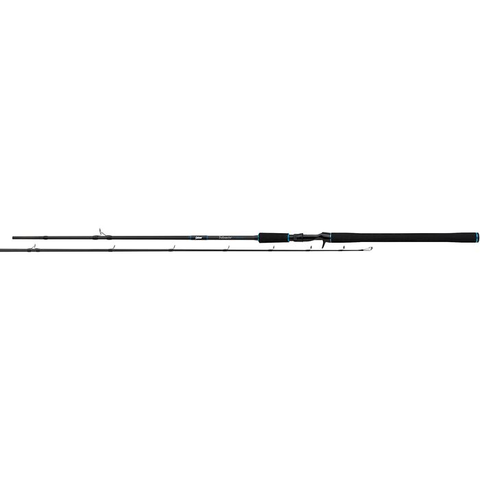 Salmo Trollmaster 2.40m 40-60gr