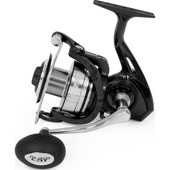Black Cat Shadow Cat 6500
