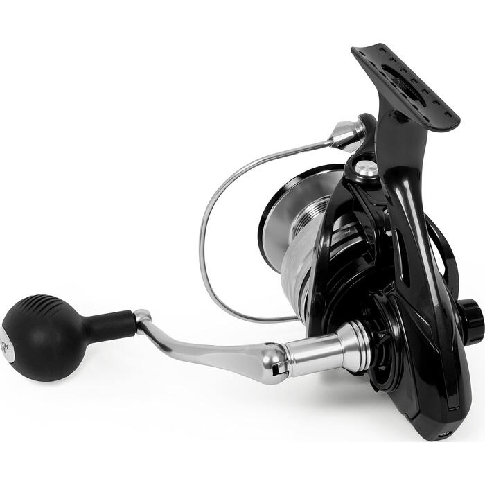 Black Cat Shadow Cat 6500