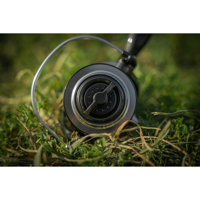 Black Cat Shadow Cat 6500