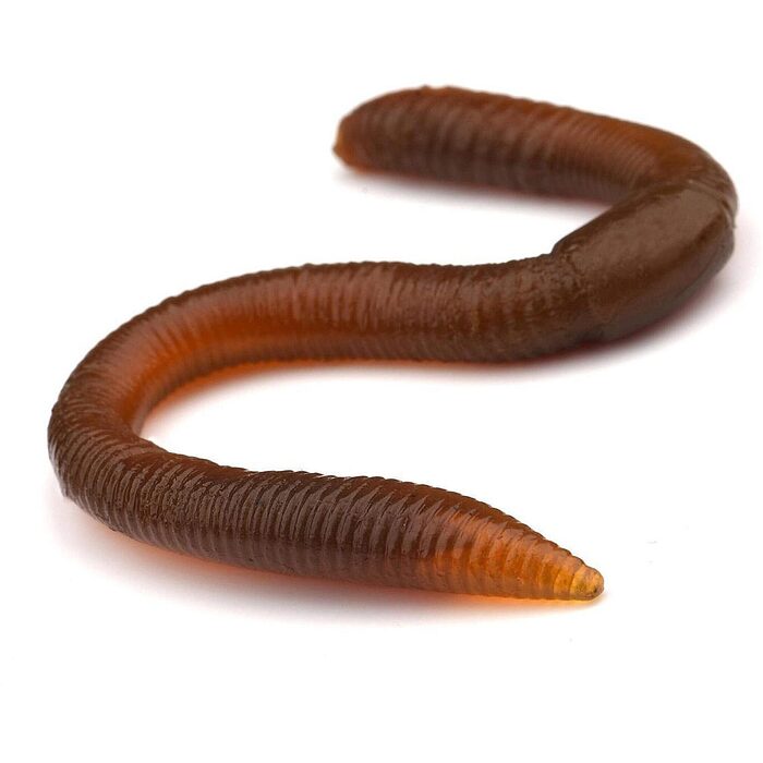 Spro FreeStyle Twitch Worm Natural Brown 8st