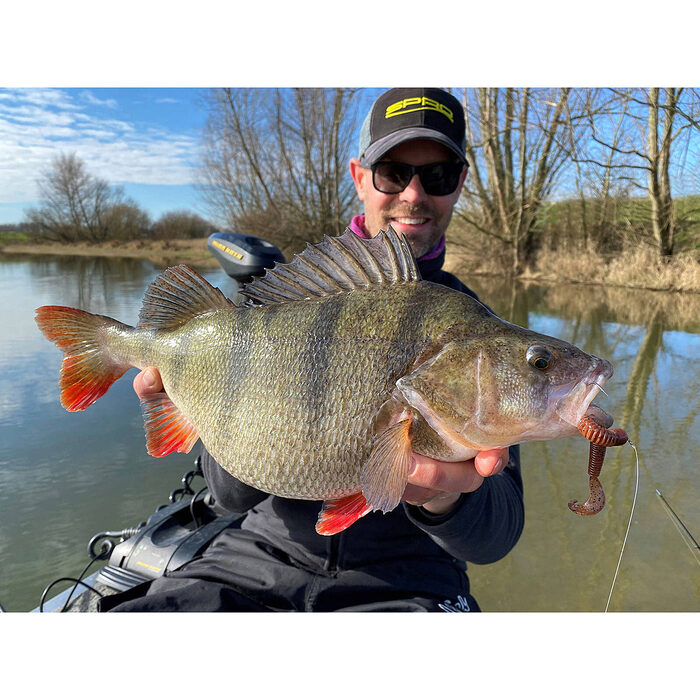 Spro Insta Craw 9cm Wasabi Special 5st