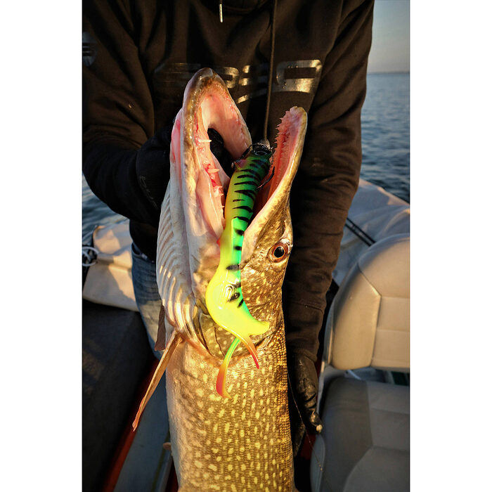 Spro Iris Shocktail 30cm Northern Pike