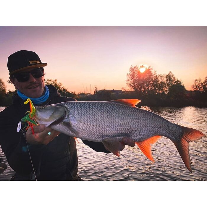 Spro Iris Thrillseeker 4/0 14gr Redhead Tiger