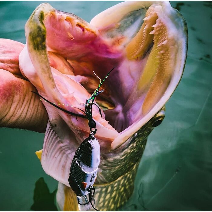 Spro Iris Underdog JTD 10cm 26gr Firetiger