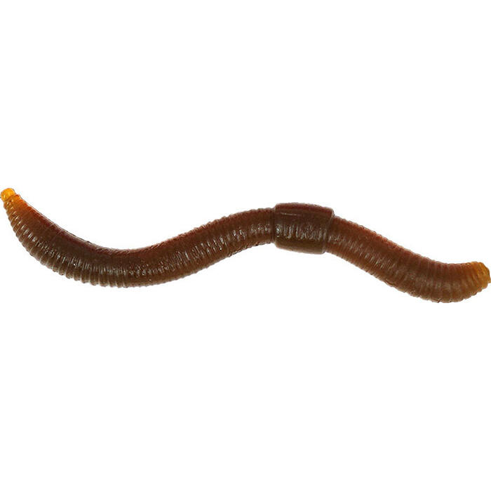 Trout Master Dendrobaena Natural 15st