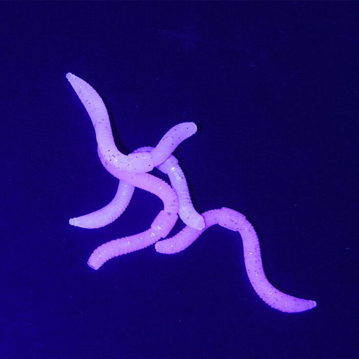 Trout Master Dendrobaena Pinky 15st