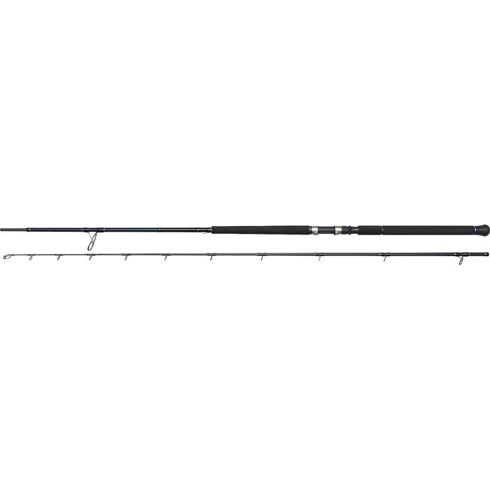 Westin W2 Offshore Powercast 295cm 30-100gr