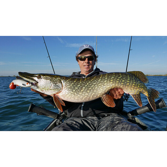 Westin Ricky the Roach Shadtail RNR 14cm 57gr Sinking Real Roach 1sts