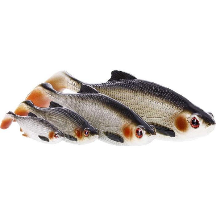 Westin Ricky the Roach Shadtail 14cm 42gr Real Roach 1st