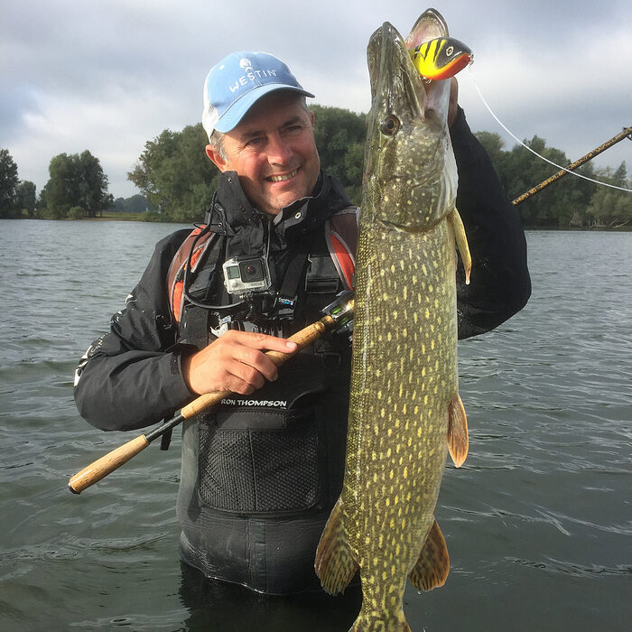 Westin Swim Suspending 12cm 53g Blueback Herrin